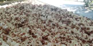 Προφιτερόλ Ταψιού με Πτι Μπερ