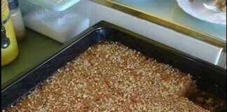 Κομμάτια σιροπιαστού κέικ με καρύδια, πασπαλισμένα με επιπλέον τριμμένο καρύδι.