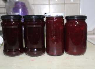 μαρμελάδα δαμάσκηνο