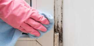 φυσικές, ασφαλείς λύσεις θεραπείας μούχλας