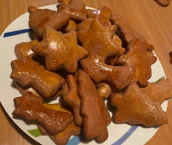 Mpiskota meliou Μπισκότα μελιού