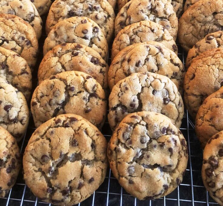Σειρά από μαλακά μπισκότα cookies με εμφανή λιωμένα κομμάτια σοκολάτας επάνω σε σχάρα