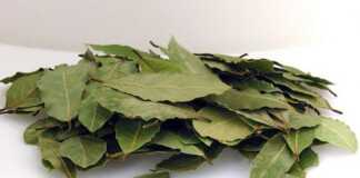 ιδιότητες της δαφνης