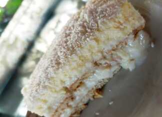 Γλυκό ψυγείου κρέμα καρύδας