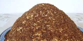 Τούρτα "Μυρμηγκοφωλιά"