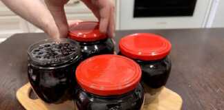 Αρώνια ,τι είναι πως την φτιάχνουμε τι θεραπεύει και που την βρίσκουμε Αρώνια