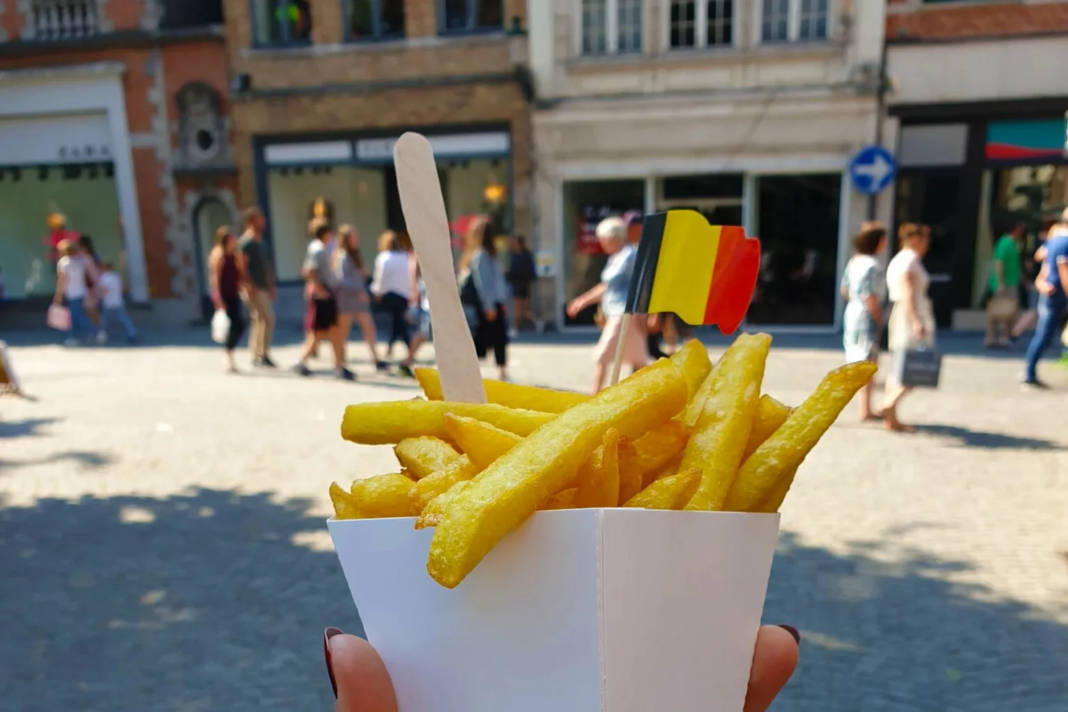 belgian-fries-1536x1024