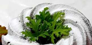 Κέικ βανίλιας με σταγόνες σοκολάτας