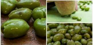 Ελιές τσακιστές