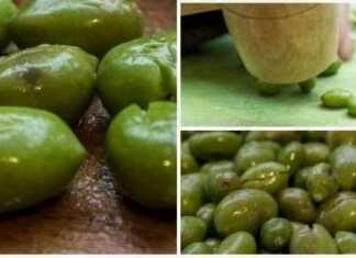 Ελιές τσακιστές