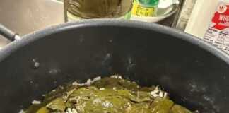 ντολμαδάκια Γιαλαντζί