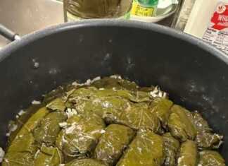 ντολμαδάκια Γιαλαντζί