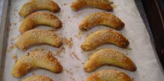 ελιοπιτάκια