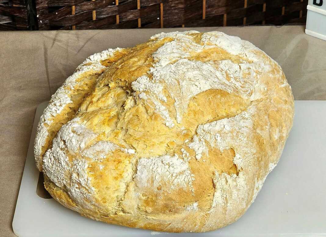 Ψωμί Γάστρας