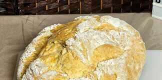 Ψωμί Γάστρας