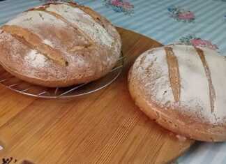 ΧΩΡΙΑΤΙΚΟ ΨΩΜΙ με προζύμι