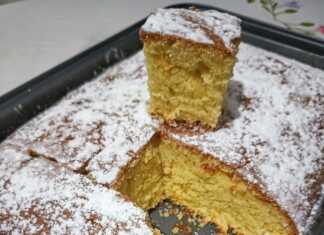 Ένα κομμάτι αφράτο κέικ πορτοκαλιού πασπαλισμένο με ινδοκάρυδο δίπλα σε φρέσκες φέτες πορτοκαλιού