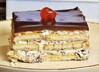 Μπισκοτογλυκό Ψυγείου