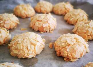 Νηστίσιμοι Εργολάβοι