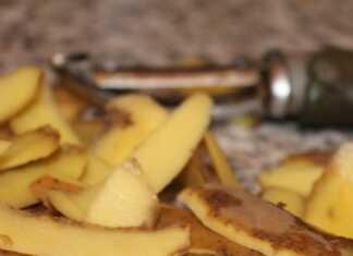 φλούδες πατάτας