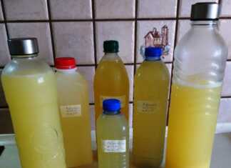 Σπιτική συμπυκνωμένη λεμονάδα