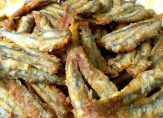 Τηγανητός γαύρος