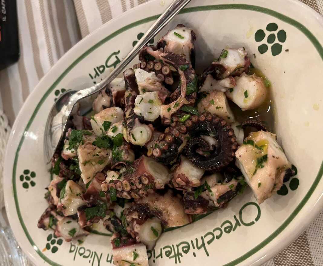 Χταπόδι Ξυδάτο