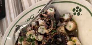 Χταπόδι Ξυδάτο Χταπόδι Ξυδάτο