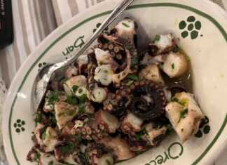 Χταπόδι Ξυδάτο