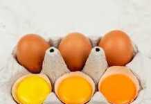 Ποιος κρόκος αυγού είναι ο πιο υγιεινός