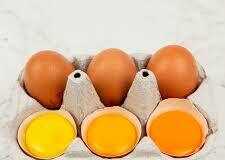 Ποιος κρόκος αυγού είναι ο πιο υγιεινός