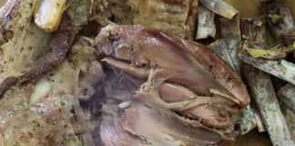 Το καλυτέρο αρνί στην λαδόκολα αρνί στην λαδόκολα