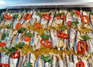 Γαύρο στο φούρνο