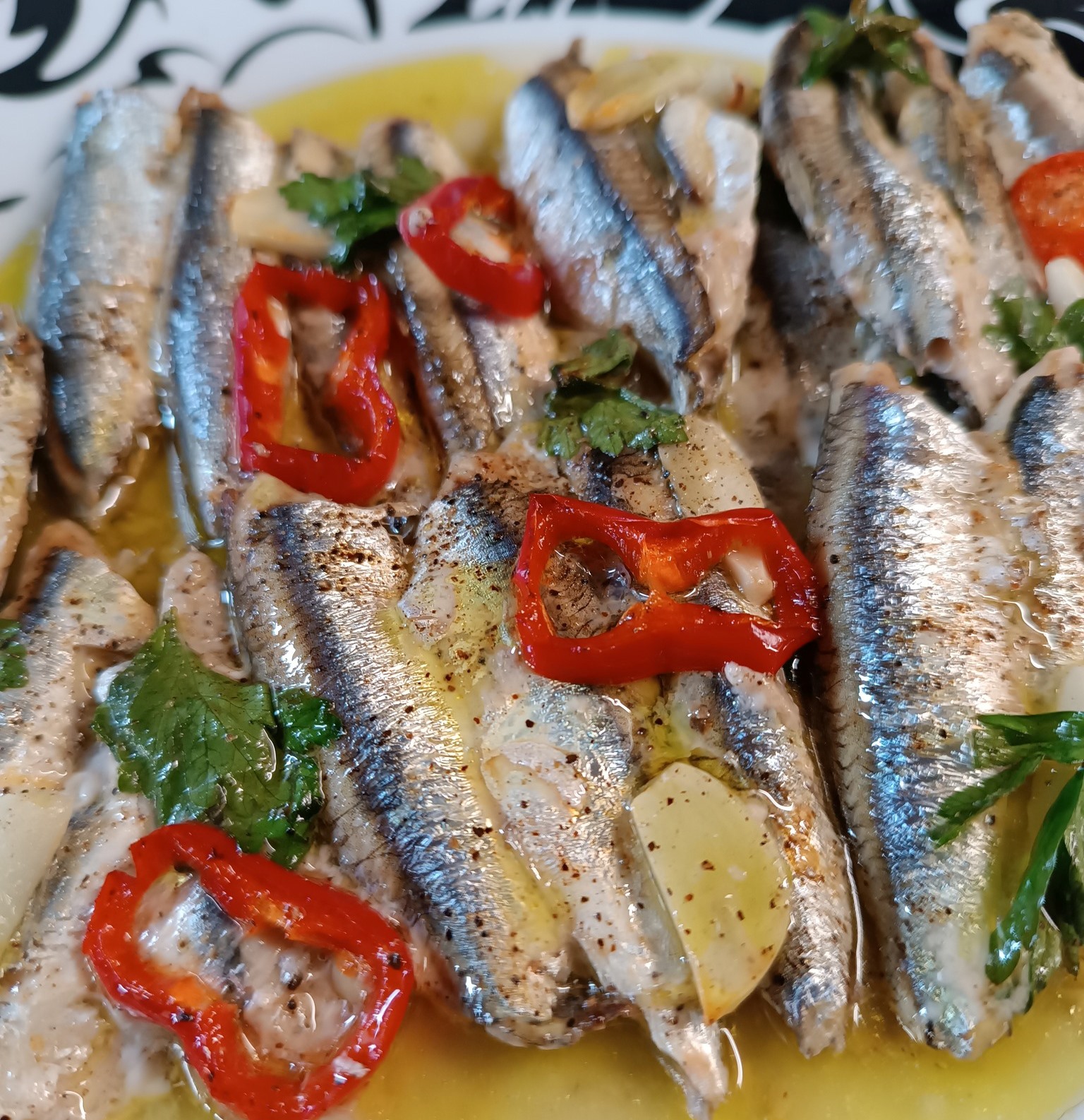 Γαύρο στο φούρνο