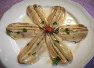 Γαύρος μαρινάτος