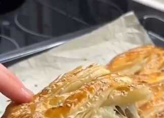 Κοτόπιτα με σφολιάτα και μανιτάρια