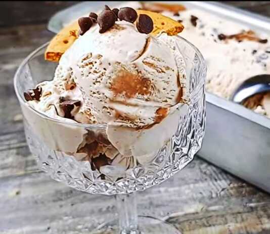 Σπιτικό παγωτό με πραλίνα φουντουκιού σε φόρμα.