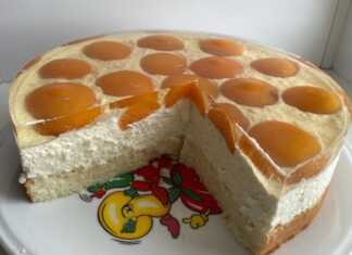 γλυκό ψυγείου με βερίκοκα