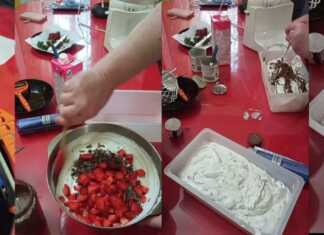 Σπιτικό παγωτό