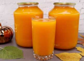 Βάζα γεμάτα σπιτικό χυμό κολοκύθας με πορτοκάλι και μήλου