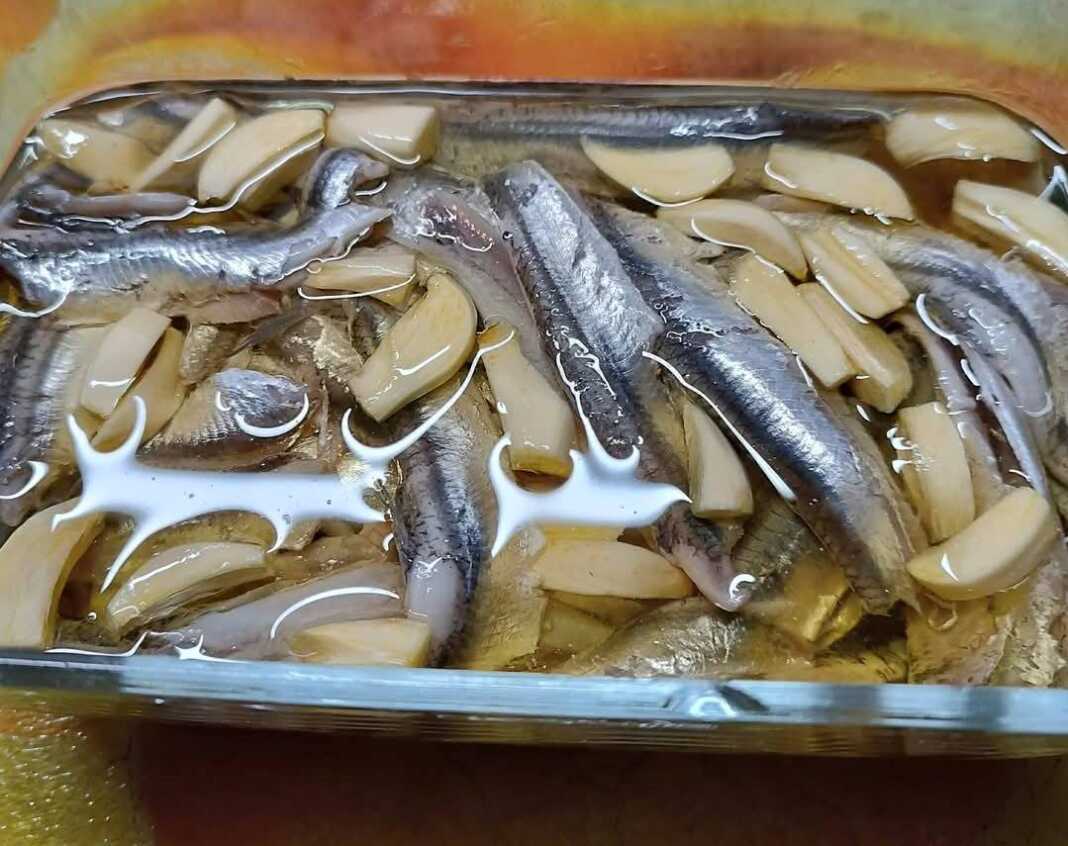 gavro marinato Φρέσκος γαύρος μαρινάτος σε καλαμποκέλαιο, έτοιμος να συνοδεύσει το ουζάκι σας.