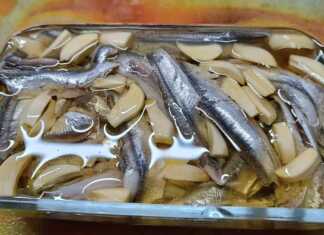 Φρέσκος γαύρος μαρινάτος σε καλαμποκέλαιο, έτοιμος να συνοδεύσει το ουζάκι σας.