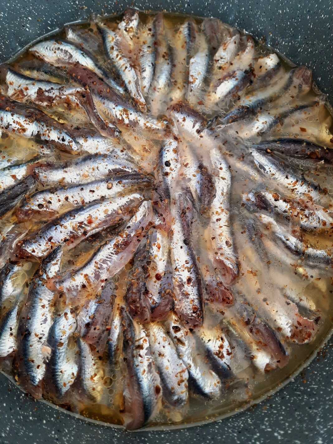 Γαύρος σαγανάκι που σιγοβράζει στο τηγάνι με πιπεριές και λεμόνι.