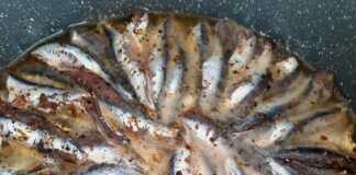 Γαύρος σαγανάκι που σιγοβράζει στο τηγάνι με πιπεριές και λεμόνι.