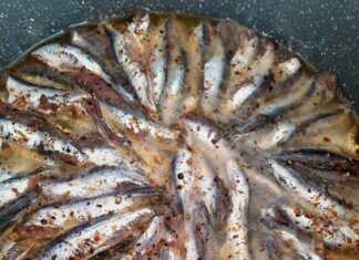 Γαύρος σαγανάκι που σιγοβράζει στο τηγάνι με πιπεριές και λεμόνι.