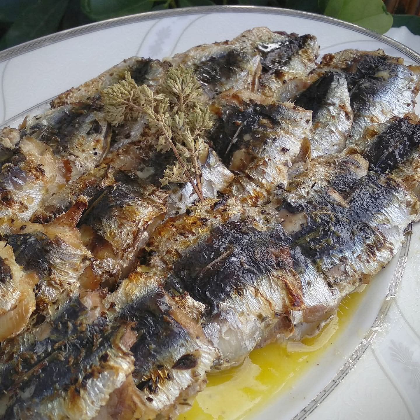 σαρδέλες στα κάρβουνα περιχυμένες με λαδολέμονο και πασπαλισμένες με ρίγανη.