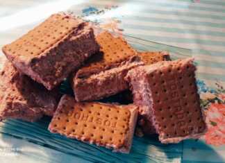 Παγωτίνια με στρώσεις από μπισκότα και παγωτό πραλίνας, έτοιμο να κοπεί σε ατομικά σαντουιτσάκια.