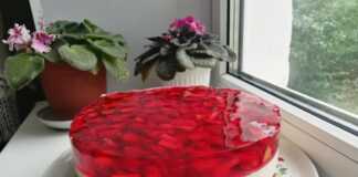 Μια στρογγυλή τούρτα με στρώσεις από παντεσπάνι, λευκή κρέμα και κόκκινες φράουλες σε διάφανο ζελέ στην κορυφή.