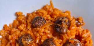 Χοχλιοί μαγειρεμένοι με στάρι και λαχανικά σερβίρονται σε ένα πιάτο, αναδεικνύοντας τα χρώματα της κρητικής κουζίνας.