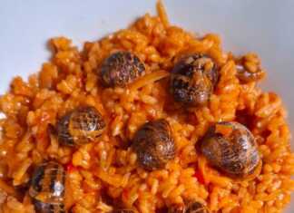 Χοχλιοί μαγειρεμένοι με στάρι και λαχανικά σερβίρονται σε ένα πιάτο, αναδεικνύοντας τα χρώματα της κρητικής κουζίνας.